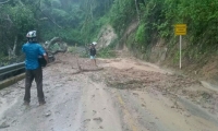 Cerrada la vía a Minca por árboles caídos y lodo sobre la carretera. 