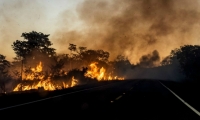 El que más ha perdido hectáreas es el estado de Mato Grosso, con 5.955.