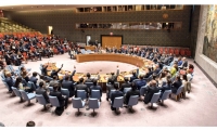 Reunión del Consejo de Seguridad de la ONU