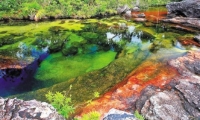 Entre los atractivos se encuentra río multicolor Caño Cristales.