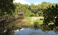 Parque Nacional Natural Isla de Salamanca.