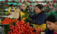 Otros mercados importantes son el Reino Unido, Japón, Canadá y Rusia.