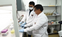 Los investigadores realizaron las pruebas en laboratorio para descubrir el fungicida que ataca la Sigatoka negra.