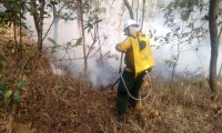 Bomberos trabajan para controlar la conflagración. 