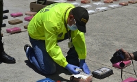 Los 608 kilos  clorhidrato de cocaína que fueron decomisados en el puerto de Santa Marta, tenían como destino Hamburgo, Alemania.