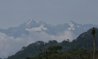 El jefe del Parque Sierra Nevada de Santa Marta está amenazado. 