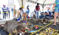 Jornada de limpieza en Santa Marta.