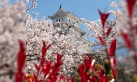 La ciudad de Himeji es una ciudad localizada en la prefectura de Hyōgo, Japón.