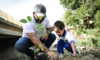 Siembra de árboles en la ribera del río Manzanares