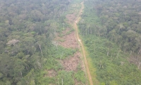 Deforestación en Guaviare.