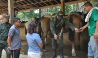 La Policía inspeccionó el estado de los caballos y mulas en el Parque Tayrona.