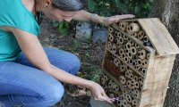 Los llamados hoteles de abejas fueron instalados en cinco puntos de la Universidad, con el propósito de lograr estudiar e identificar las especies que se encuentran en el Campus y sus alrededores.