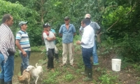 Campesinos que se unieron al proyecto de la Alcaldía.