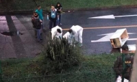 Encuentran cuerpo de hombre sin vida dentro de nevera en Antioquia