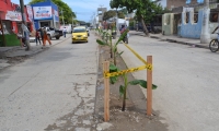 La zona se había convertido en botadero de escombros y basura. 