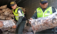 Policias regalando bolsas de pescados.