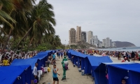 La Cooperativa de Carperos de El Rodadero y Playa Blanca donó la nuevas carpas.