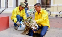Jornada de limpieza en las calles de Santa Marta
