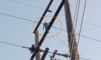 Electricaribe divulgó esta foto en la que se ve una cadena de motocicleta en la red eléctrica.