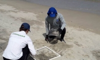 Monitoreo en playas de Santa Marta