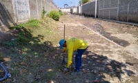 Jornada de limpieza en el sector de El Boro. 