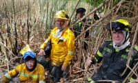 Atención de incendio en Parque Salamanca