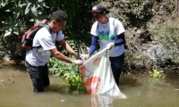 Voluntarios en recolección de residuos