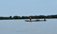 Ciénaga Grande de Santa Marta 