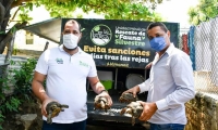 Recuperación de tortugas. 