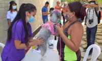 Atención médica a los animales de Santa Marta