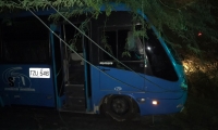 Caída de árbol sobre un bus en El Rodadero. 