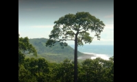 Panorámica de Quebrada del Sol.