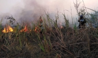 En  Magdalena se han presentado 36 incendios forestales en 2020, 18 de estos en la Sierra Nevada.