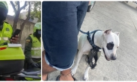 Policías le impusieron multa al joven por sacar a su perro a hacer necesidades a 2 cuadras de su casa.
