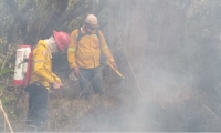 Incendio en el Vía Parque Isla de Salamanca.