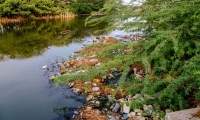 Río Manzanares.