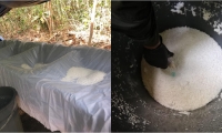  Las autoridades no solo lograron incautar cerca de una tonelada de cocaína, sino que tienen las pruebas necesarias para enjuiciar a este narcotraficante. 