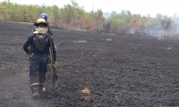 3o hectáreas de enea ha afectado el incendio.