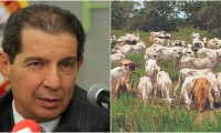 El presidente de Fedegán admitió: “no se trata, entonces, de satanizar a la ganadería, sino de apoyar su reconversión con enfoque sostenible".