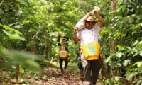 La firma de comercialización de Agrosec con la Federación Nacional de Cafeteros para la venta de café orgánico ‘Fruto de la Restitución’ fue uno de los puntos importantes en los últimos dos años en el departamento. 