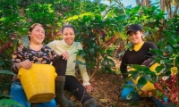 Podrás conocer todo lo relacionado con con el café de la Sierra Nevada