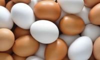 Fenavi y la FCC resaltan que el consumo del huevo debe realizarse dentro de una dieta balanceada.