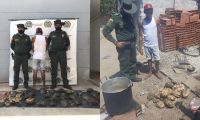 Policía capturó a un hombre por sacrificar 31 hicoteas en zona rural de Pivijay.