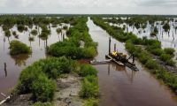 La dinámica de recuperación se evidenció en la Ciénaga Mendegua, Complejo de Pajarales y en la Ciénaga del Concha