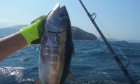 Pesca deportiva ahora será prohibida en Santa Marta. 