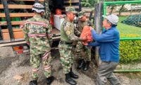 entrega de alimentos 