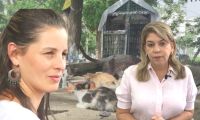 Los casos de maltrato animal volvieron a encender  las alarmas. 