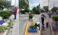 Mantenimiento y recuperación de jardineras y parques de Santa Marta