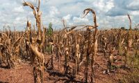 Las fuertes temperaturas podrían seguir aumentando en Latinoamérica 