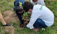 Actividades de Corpamag - imagen de contexto.